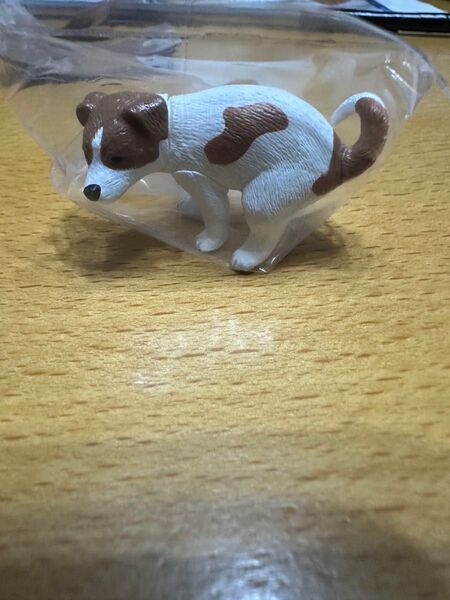 ふんばり〜ぬ(ジャックラッセルテリァ)