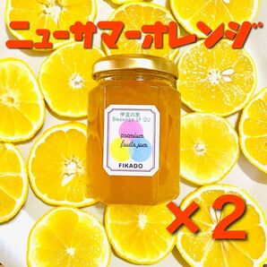 ニューサマーオレンジマーマレード2本セット