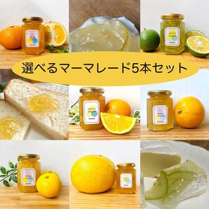 選べるマーマレード5本セット