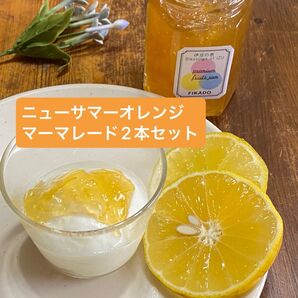 ニューサマーオレンジマーマレード2本セット