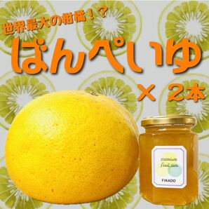 晩白柚(ばんぺいゆ)ジャム2本セット