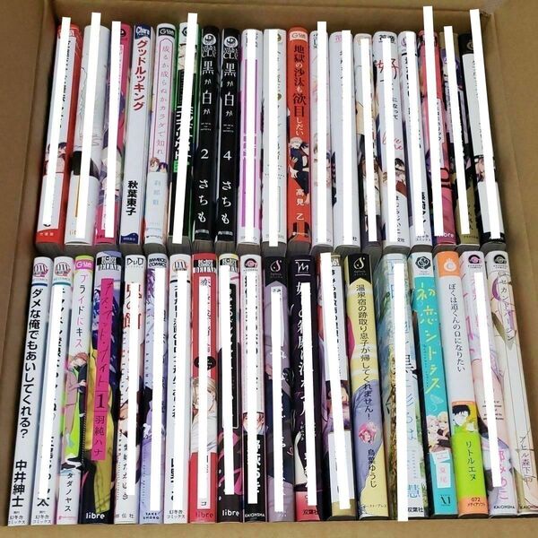 BLコミック まとめ売り バラ売り可 漫画 ボーイズラブ ③