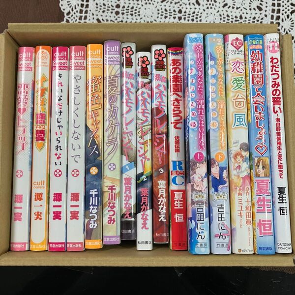 TL レディースコミックス いろいろまとめて計15冊 連続巻は完結です。