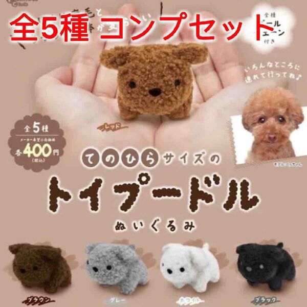 てのひらサイズのトイプードル ぬいぐるみ 全5種コンプセット
