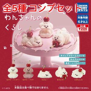 ホイップわんちゃんのくらし 全5種コンプセット ガチャ