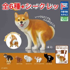 ふんばり~ぬ 全6種コンプセット シークレットあり