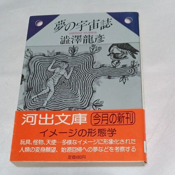 夢の宇宙誌 澁澤龍彦 河出文庫