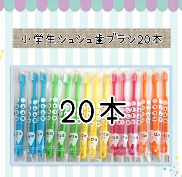 【新品未使用】小学生シュシュ歯ブラシ20本