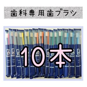 【新品未使用】歯科医院専用歯ブラシ10本