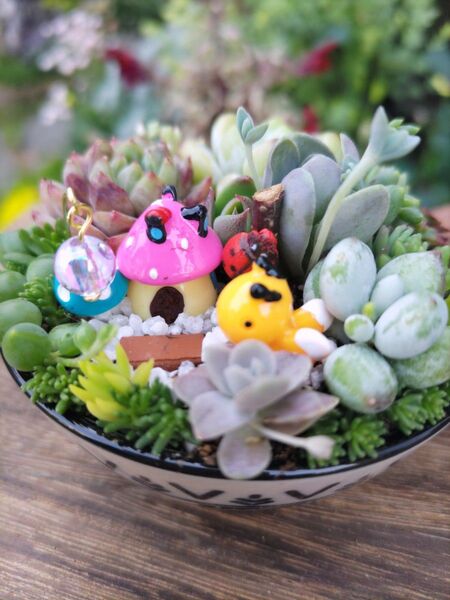 多肉植物寄せ植え そのまま飾れる陶器 ちんこいミツバチの多肉森
