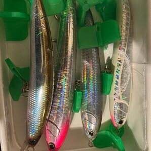 オフショア、ロックショアプラッキングルアー