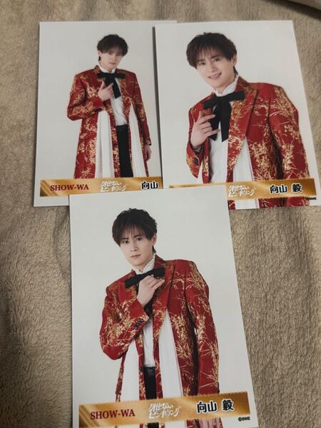 SHOW-WA 向山毅 外せないピンキーリング ランダム生写真
