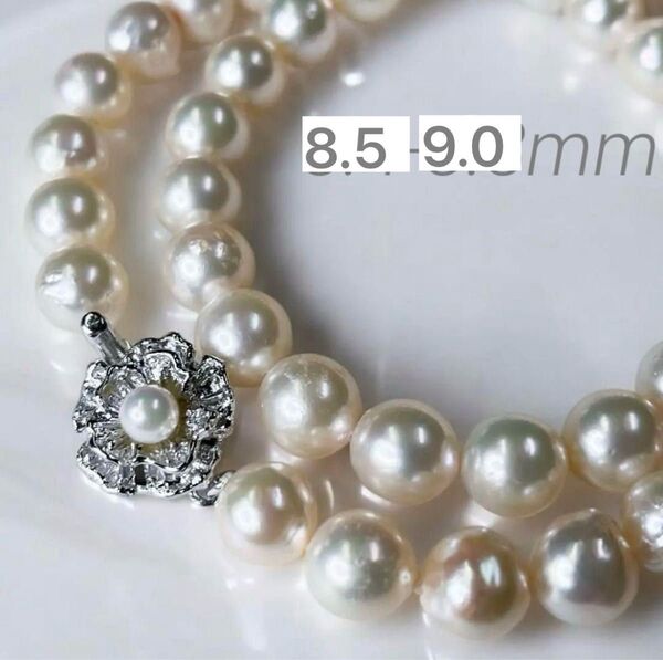 鑑別書付き◇大珠 あこや真珠 8.5-9.0mm パールネックレス シルバー刻印 pearl 本真珠
