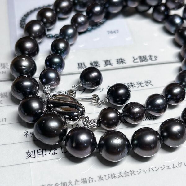 鑑別書付き◇美品◇黒蝶真珠 7.9-10.9mm シルバー ネックレス&WG k14 ピアス セット 南洋パール