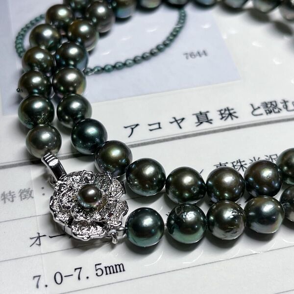 鑑別書付き◇あこや真珠◇7.0-7.5㎜ ネックレス ピーコックカラー シルバー刻印 pearl necklace 本真珠