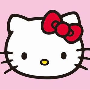 アーム&ハンマー デオドラント 2本セット