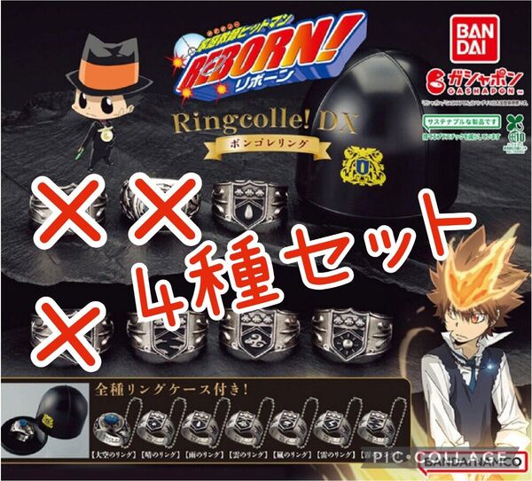 624 家庭教師ヒットマンREBORN ガチャ ボンゴレリング 4種セット ガチャ