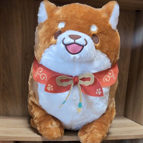 忠犬もちしばBIG