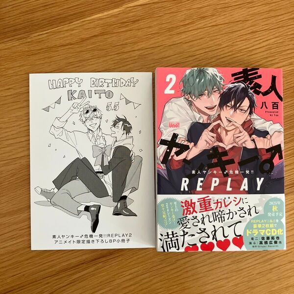 素人ヤンキー♂危機一発!! REPLAY2 八百 アニメイト小冊子付