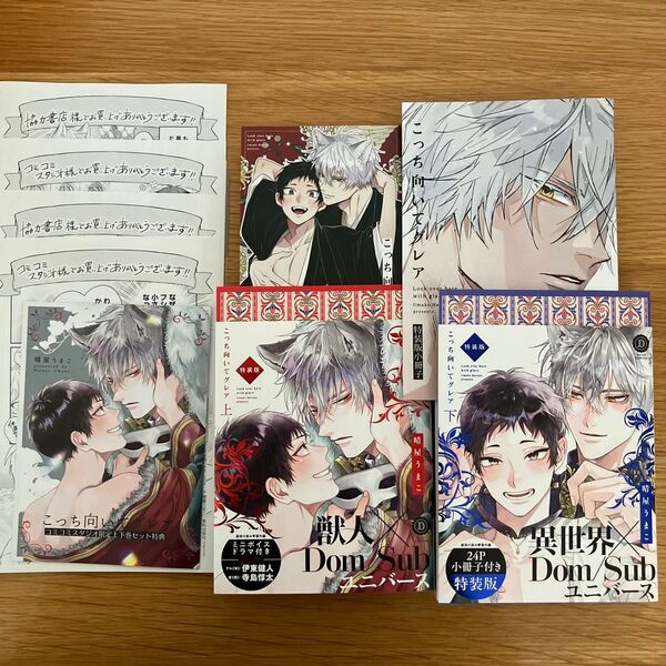 こっち向いてグレア 上下巻 特装版 晴屋うまこ コミコミリーフレット ペーパー付き