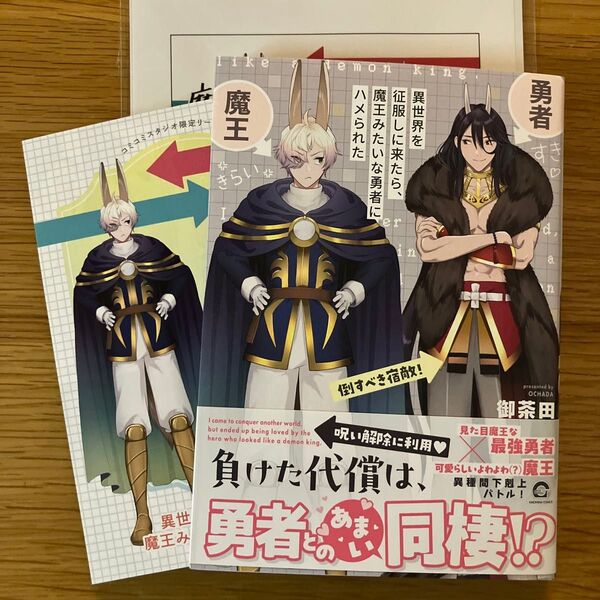 異世界を征服しに来たら、魔王みたいな勇者にハメられた 御茶田