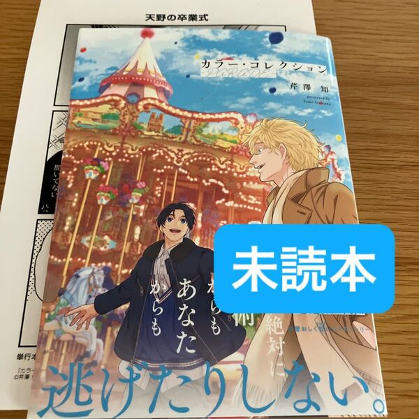 カラー・コレクション―PARADE― 芹澤知 ペーパー付き(2つ折り)