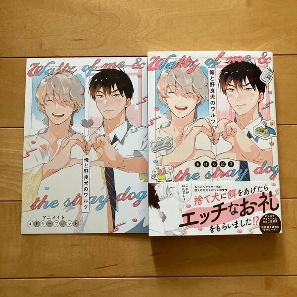 俺と野良犬のワルツ きはら記子 アニメイトリーフレット付き