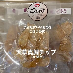 無添加おやつ 天草真鯛チップ〔犬.猫用〕