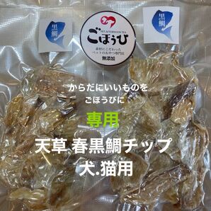 無添加おやつ 真鯛ふりかけ.天草 春黒鯛チップ〔犬.猫用〕