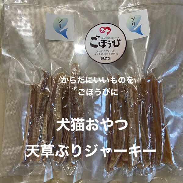 犬猫おやつ 無添加 天草ぶりジャーキー