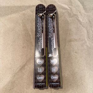 CANMAKE とろけるジェルライナー 03 ダークブラウン 2個セット