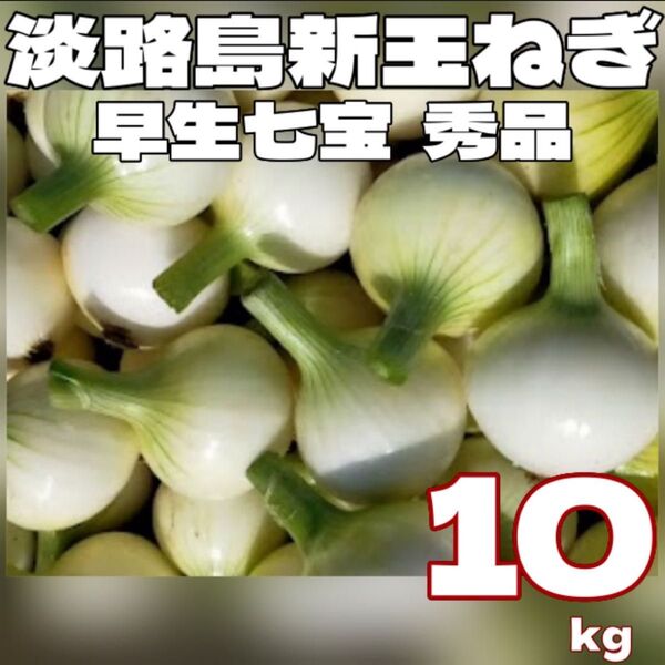 淡路島 新玉ねぎ 七宝早生 秀品 MLサイズ 10キロ