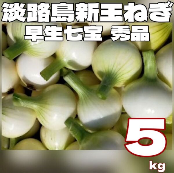淡路島 新玉ねぎ 七宝早生 秀品 MLサイズ 5キロ