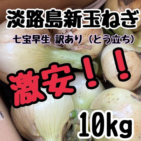 淡路島 新玉ねぎ 七宝早生 訳あり Lサイズ 10キロ