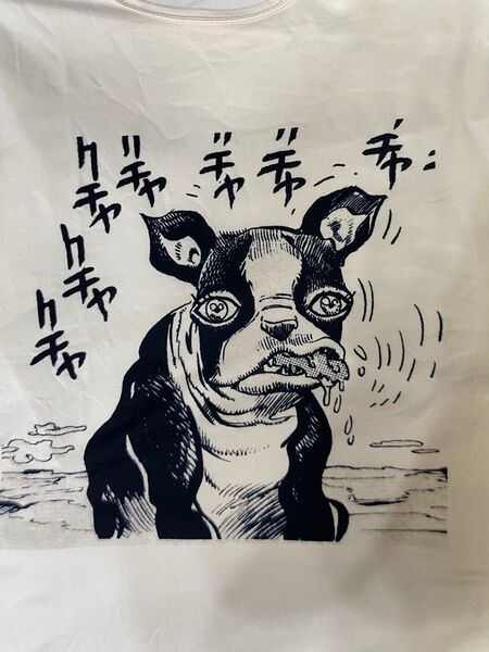 ジョジョ★イギー初期★Tシャツ半袖★試着のみ