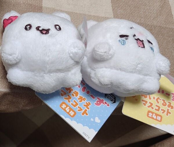 らぶいーず