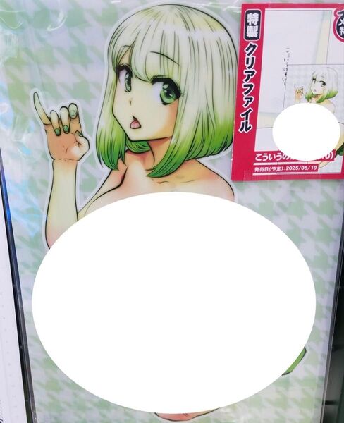 こういうのがいい メロンブックス クリアファイル
