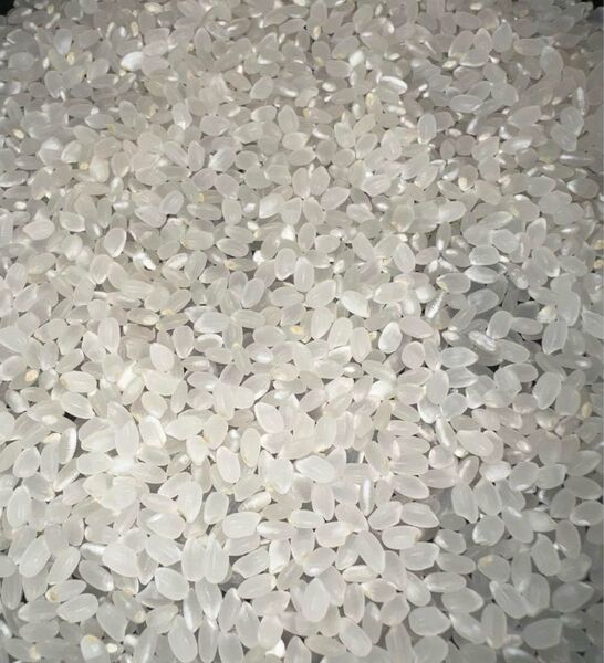 国産 お米 精米 白米 1Kg