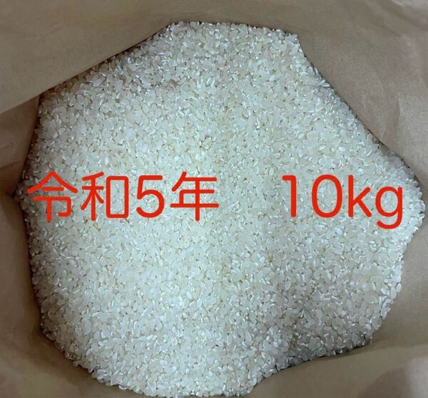 ヒノヒカリ お米 精米 10キロ