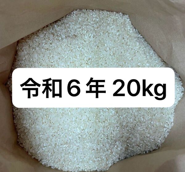 お米 国産 20キロ