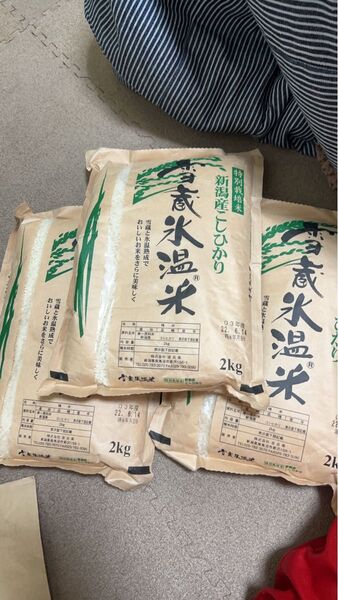 こしひかり 10キロ 白米