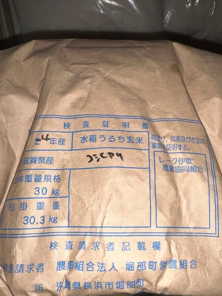 滋賀県産 こしひかり お米 10キロ