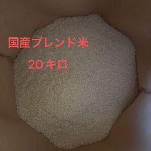 令和6年産 新米入り 20kg 国産ブレンド米 小粒米 全国複数原料米