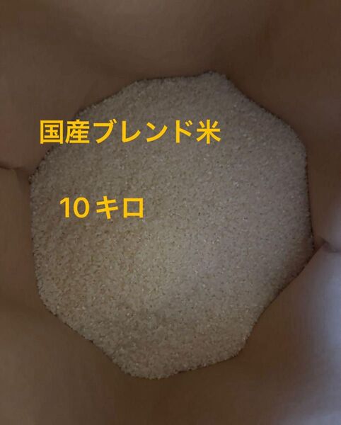 令和6年産 新米入り 10kg 国産ブレンド米 小粒米 全国複数原料米