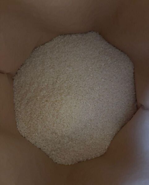 お米 国産 20キロ 白米 精米