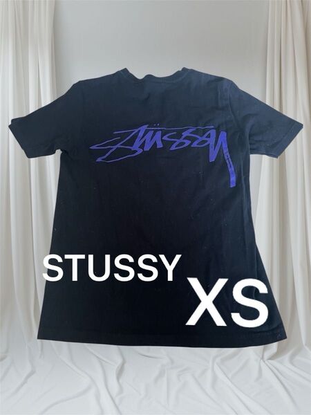 STUSSY Tシャツ 黒×紫