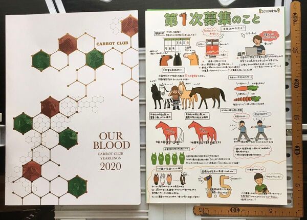 募集馬カタログ:【キャロットクラブ】2020年 1冊(冊子付き)