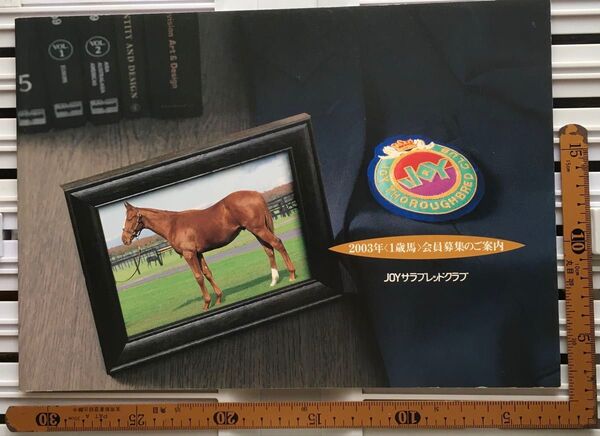 募集馬カタログ:【JOYサラブレッドクラブ】2003年 1冊