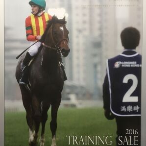 競馬ポスターB1:モーリス 「北海道市場 Vol.126」2015年 香港マイル