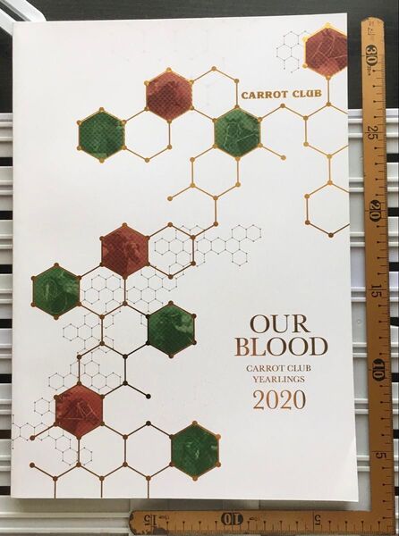 募集馬カタログ:【キャロットクラブ】2020年 1冊(冊子なし)